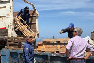 WhatsApp Image 2026-01-21 at 12.07.23.jpeg